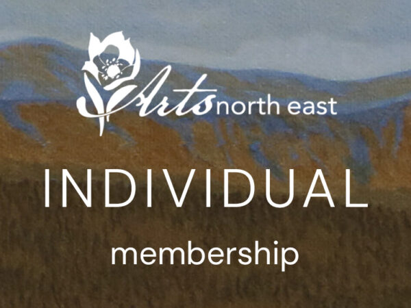 Arts North East - Individual Membership